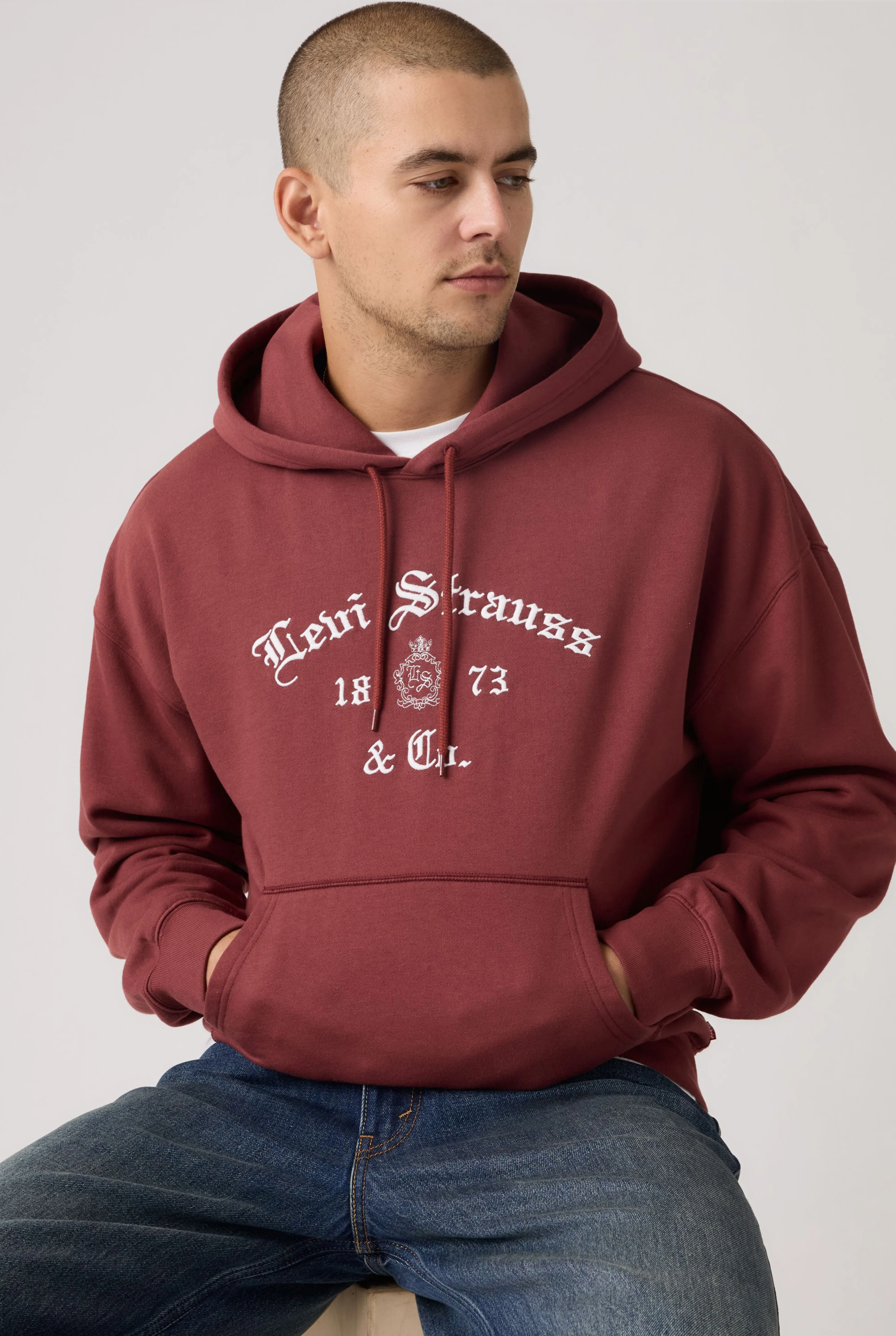 Le chandail à capuche Levi’s imprimé