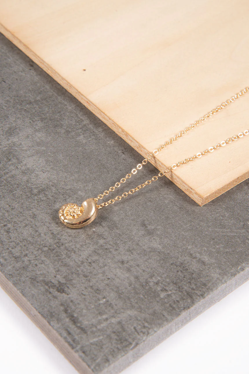 Collier chaîne coquillage | 2 couleurs