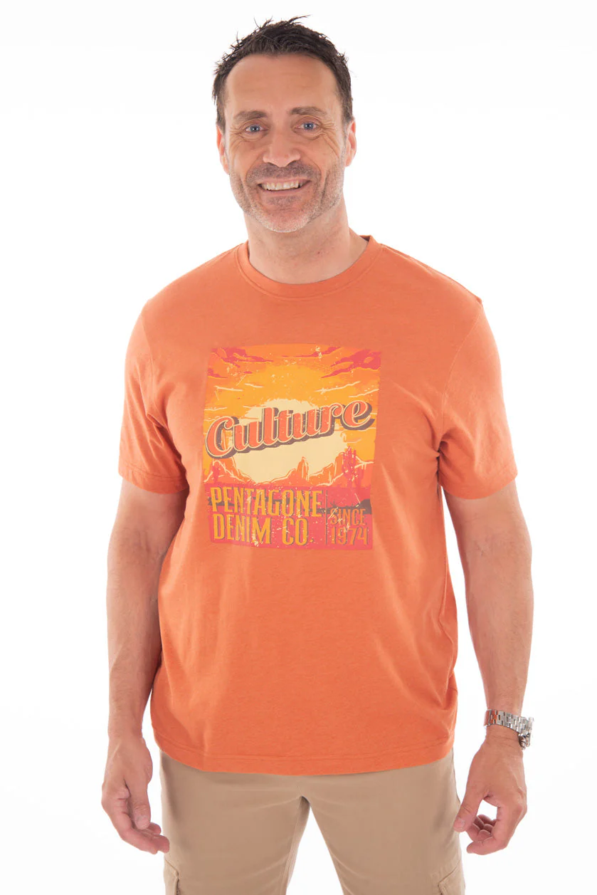 T-shirt imprimé paysage désertique - Image 3